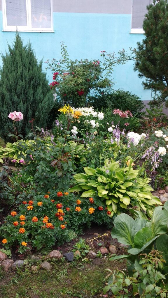 Агроусадьба "Santa Luchya"