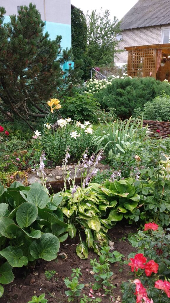 Агроусадьба "Santa Luchya"