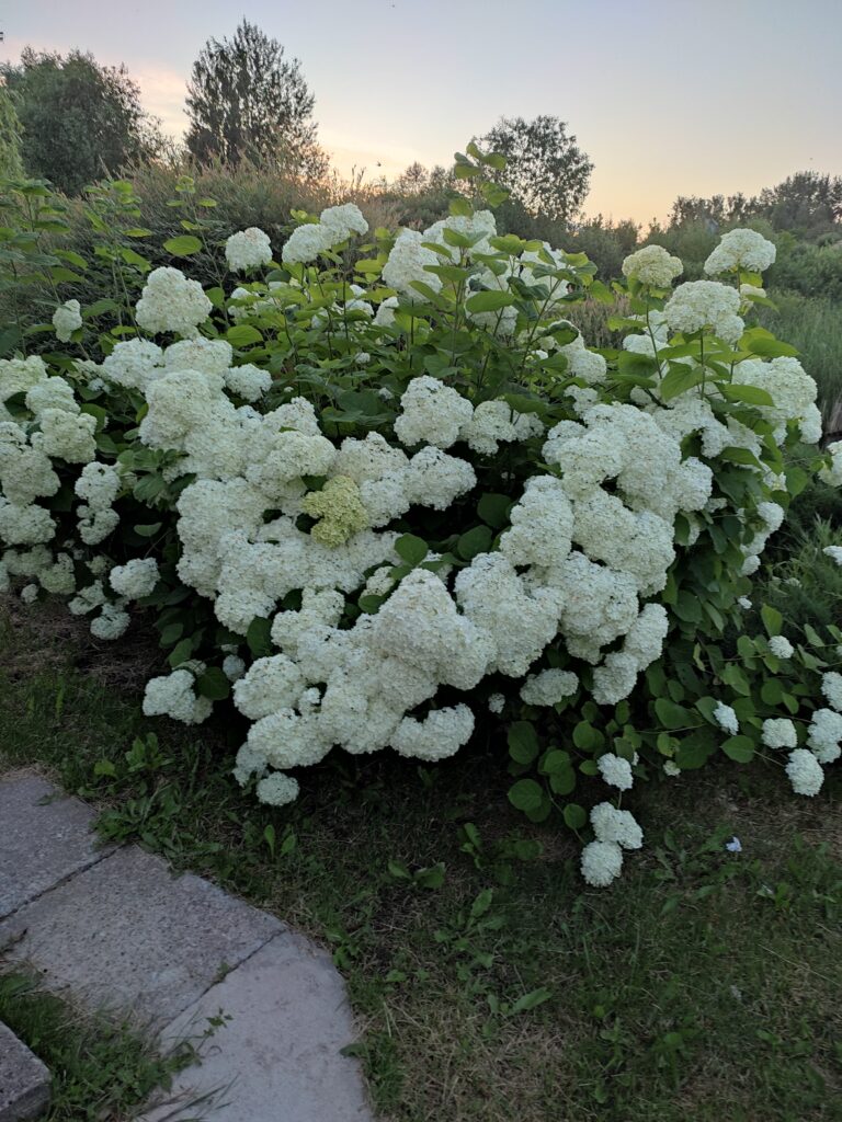 Агроусадьба "Santa Luchya"