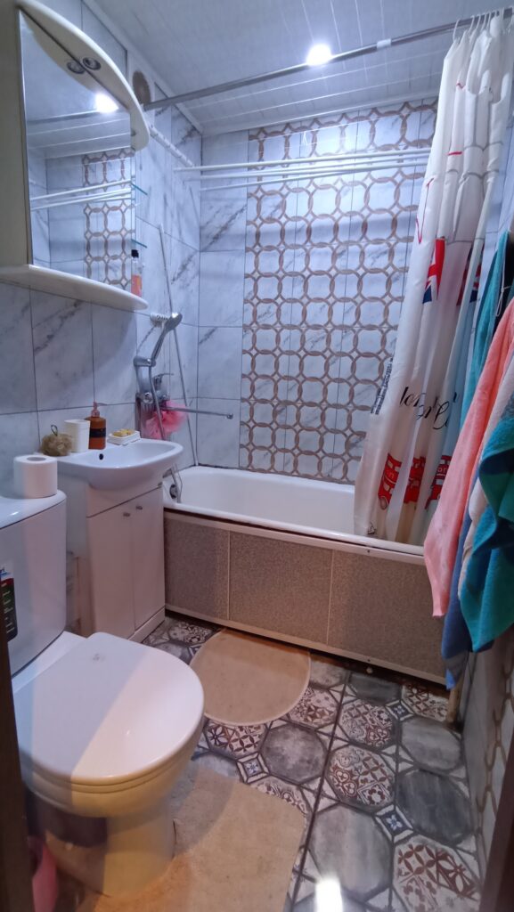 Евро трёшка по Ольшевского