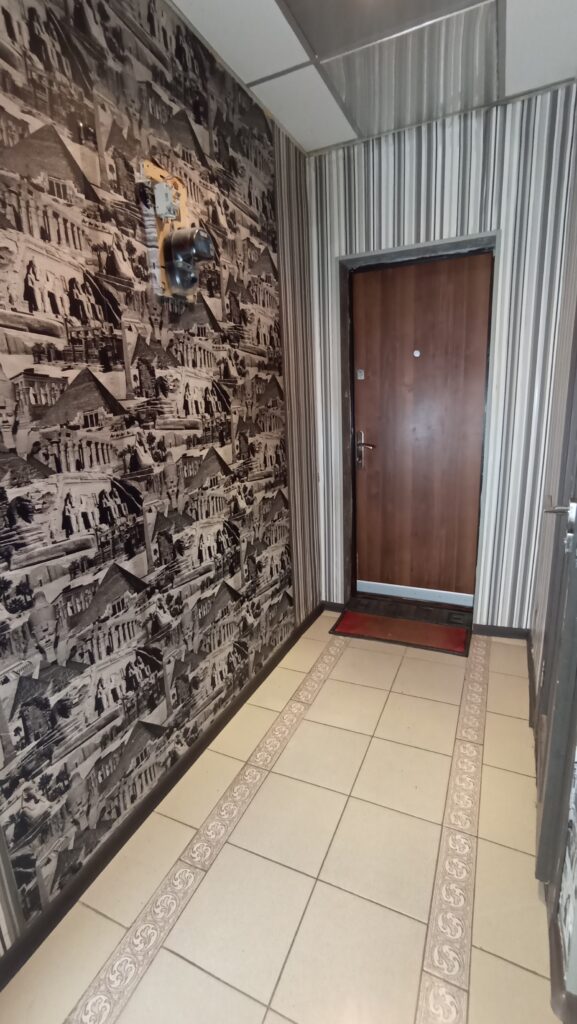 Евро трёшка по Ольшевского