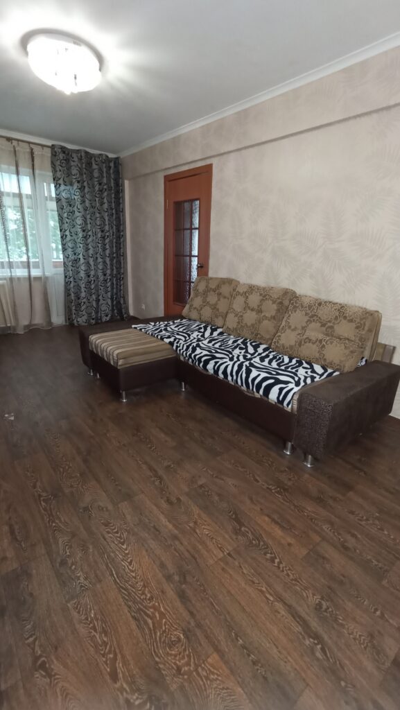 Евро трёшка по Ольшевского