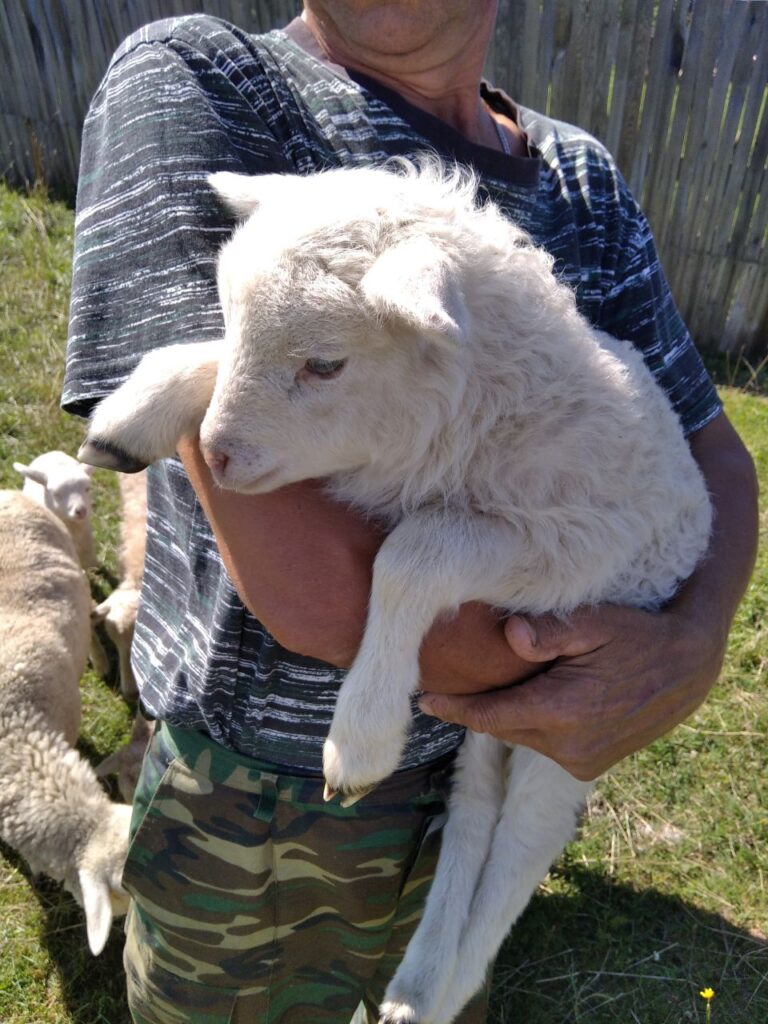 Агроусадьба РУБЛЕВКА со своим озером